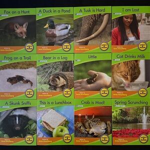 Set of 12 Phonics Early Literacy Book Set